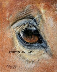 the eye of a horse is shown with words written below it that read, roby's fine art