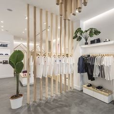 a clothing store with clothes hanging on the wall and shelves filled with shirts, shoes and plants