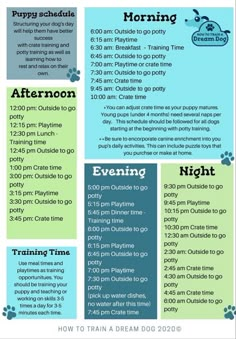 a poster with instructions for the dog's upcoming playtime schedule, including an image of