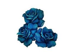 three blue roses sitting on top of each other