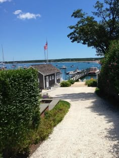 a path leading to a boat dock with boats in the water and bushes on either side