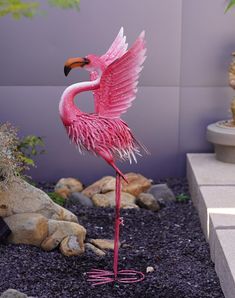 a pink flamingo standing on its hind legs