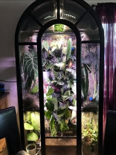 a display case filled with lots of plants