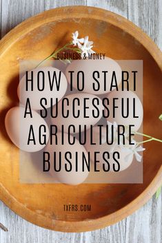 three eggs in a wooden bowl with the words how to start a successful agriculture business