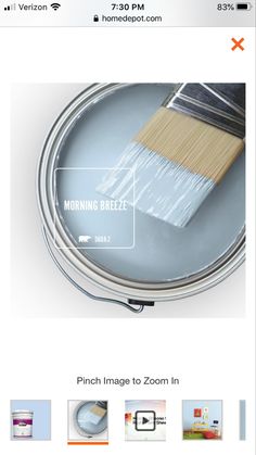 the homepage for paint products is displayed on an ipad device, with pictures and text below it