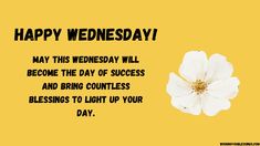 a white flower sitting on top of a yellow background with the words, happy wednesday