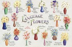 the language of flowers in vases is written on a white background with many different colors and sizes