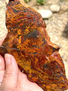 a hand holding a piece of rusted rock in it's left palm area