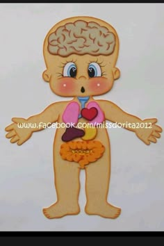 an image of a cut out of a baby's body with the brain and heart on it