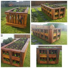 several pictures of an outdoor vegetable garden with wooden pallets and plants growing in them