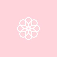 a white flower on a pink background