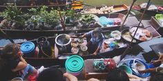 several people are sitting in small boats on the water with plants and other things around them