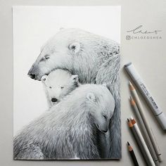 a drawing of two polar bears and their cubs with colored pencils next to it