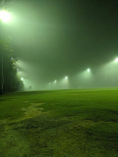 foggy night in the park with green grass and street lights