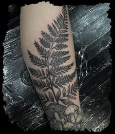 a black and white photo of a plant with mushrooms on it's leg,