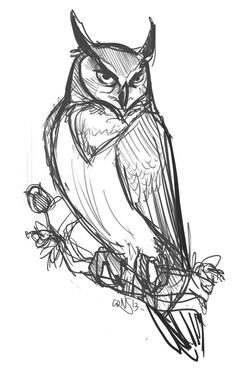 a drawing of an owl sitting on top of a tree branch with its eyes closed