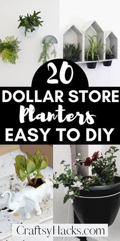 the top 20 dollar store planters easy to diy