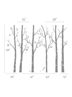 the measurements for birch tree wall decals are shown in three different sizes and colors