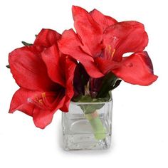 red flowers are in a clear glass vase