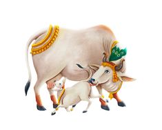 an image of a mother cow and her baby in the middle of it's life