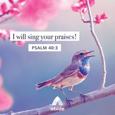 a bird sitting on top of a tree branch with a bible verse above it that reads, i will sing your praise