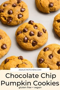 chocolate chip pumpkin cookies on a baking sheet with text overlay that reads, chocolate chip pumpkin cookies gluten free vegan