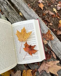 an open book sitting on top of a wooden bench surrounded by leaves and fallen leaves