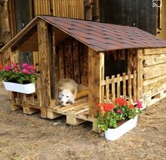 a dog house made out of wooden pallets with flowers in the window and potted plants outside