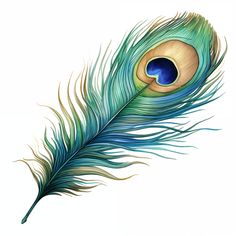 a drawing of a peacock feather with blue and green feathers on it's tail