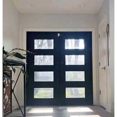 a black double door with two sidelights in front of a white wall and potted plant