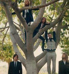 four men are standing in the branches of a tree