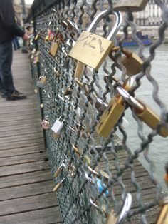 several padlocks attached to a chain link fence with water in the back ground