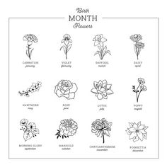 an image of flowers that are in the month of november and months of march on a white background