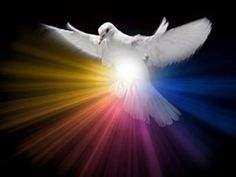 a white dove with its wings spread wide open in front of the light coming from it