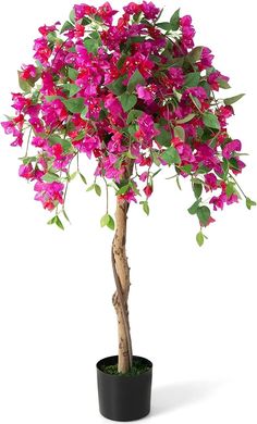 a potted plant with pink flowers in it