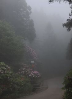 a road surrounded by trees and flowers on a foggy day