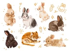 an image of rabbits and kittens on white paper