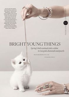 a white kitten is being held by a woman's hand with jewelry on it