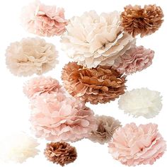 a bunch of pink and white flowers on a white background