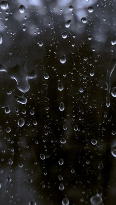 rain drops on the window with trees in the background