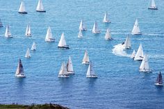 a large group of sailboats sailing in the ocean