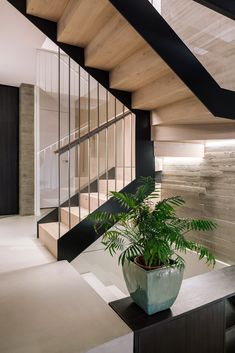 a potted plant sitting on top of a wooden table next to a stair case