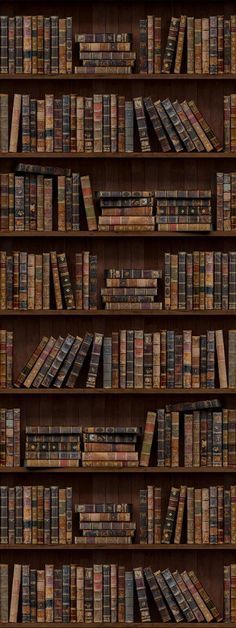 a book shelf filled with lots of books on top of wooden shelves next to each other