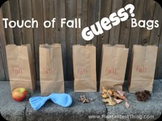 three brown paper bags with the words touch of fail, fall, and fall written on them