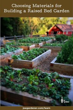 a garden with lots of plants growing in it and the words choosing materials for building a raised bed garden