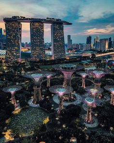 an aerial view of the gardens by night in singapore, with skyscrapers lit up behind them