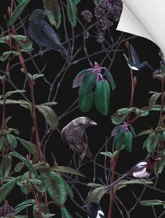 Witch and watchman Folia Dark wallpaper sample Navy Bedroom, Wallpaper Project, Hand Painted Wallpaper, Witchy Wallpaper, Night Forest, Diy Wallpaper, Woodland Forest, Bird Wallpaper, Luxury Wallpaper