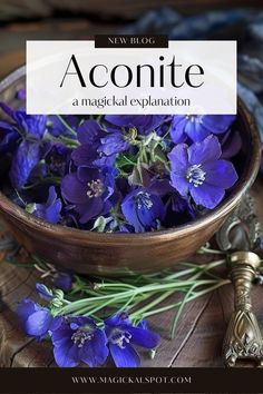 Unravel the mystery of 🌿 Aconite in 'Term ‘Aconite’ Explained.' Dive deep into the lore and uses of this potent herb, also known as wolfsbane or monkshood. 🐺✨ Known for its powerful properties in magic and its dangerous toxicity, learn about its role in historical potions, protection spells, and the caution required in handling. Ideal for the well-informed witch, respect the potent spirit of Aconite in your practice. ☠️🔮 Herb Preservation, Energy Transformation, Protection Spells