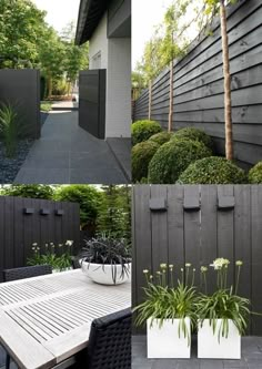 four pictures of different types of plants in white vases on a table and black fence