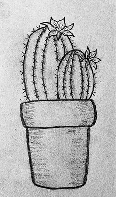 a drawing of a cactus in a pot